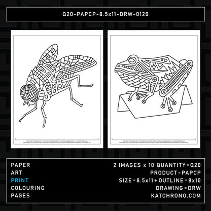 Q20-PAPCP-8.5x11-DRW-0120