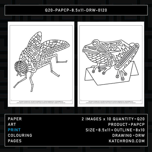 Q20-PAPCP-8.5x11-DRW-0120