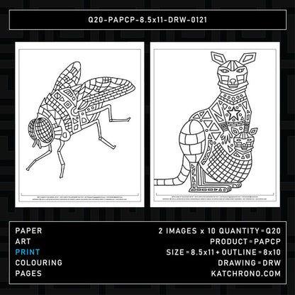 Q20-PAPCP-8.5x11-DRW-0121