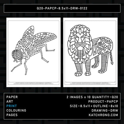 Q20-PAPCP-8.5x11-DRW-0122
