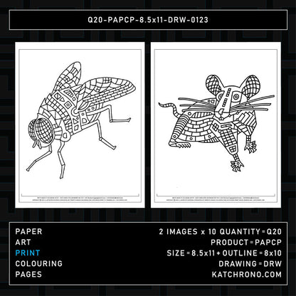 Q20-PAPCP-8.5x11-DRW-0123