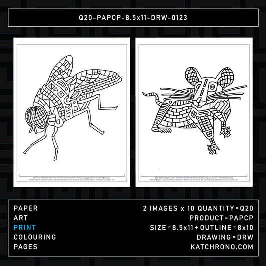 Q20-PAPCP-8.5x11-DRW-0123