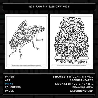 Q20-PAPCP-8.5x11-DRW-0124