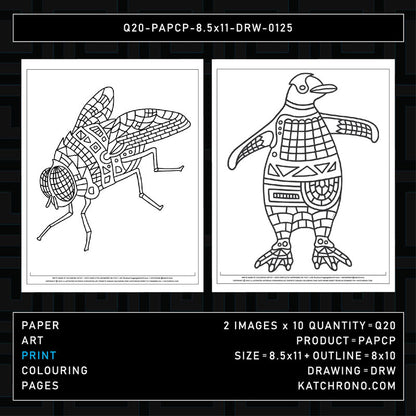 Q20-PAPCP-8.5x11-DRW-0125