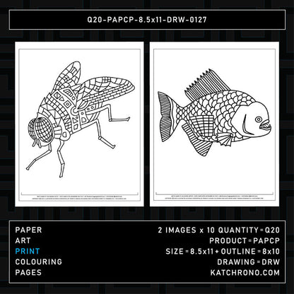 Q20-PAPCP-8.5x11-DRW-0127