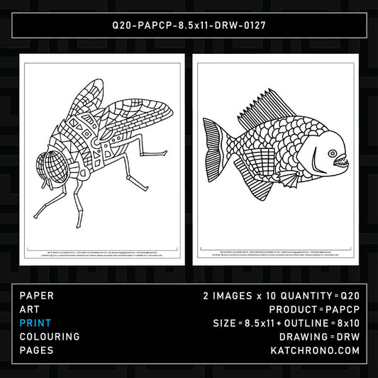 Q20-PAPCP-8.5x11-DRW-0127