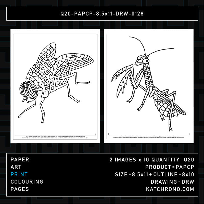 Q20-PAPCP-8.5x11-DRW-0128