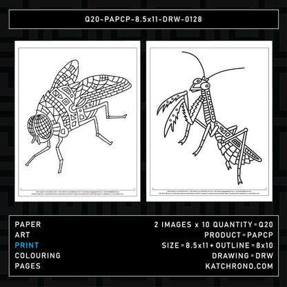 Q20-PAPCP-8.5x11-DRW-0128