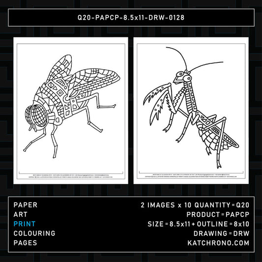 Q20-PAPCP-8.5x11-DRW-0128