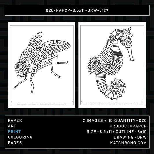 Q20-PAPCP-8.5x11-DRW-0129