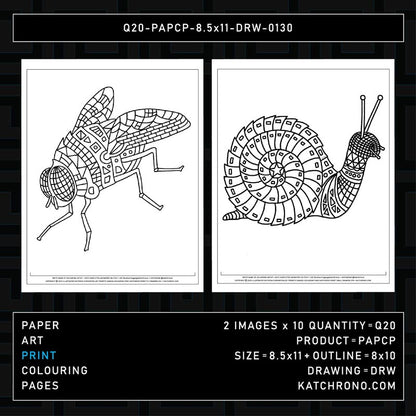 Q20-PAPCP-8.5x11-DRW-0130