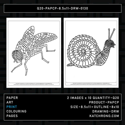 Q20-PAPCP-8.5x11-DRW-0130