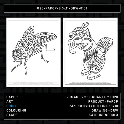 Q20-PAPCP-8.5x11-DRW-0131