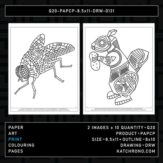 Q20-PAPCP-8.5x11-DRW-0131