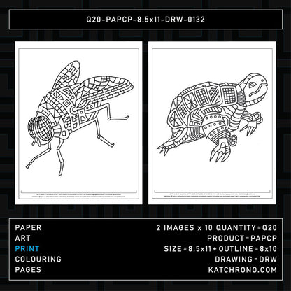 Q20-PAPCP-8.5x11-DRW-0132