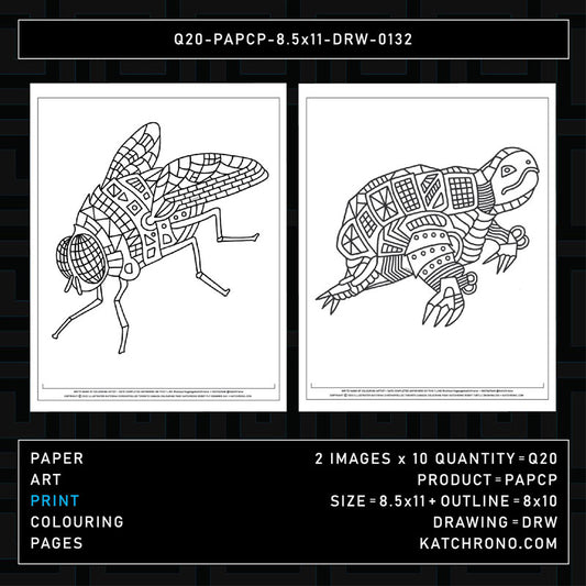 Q20-PAPCP-8.5x11-DRW-0132