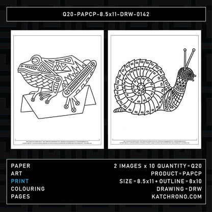 Q20-PAPCP-8.5x11-DRW-0142