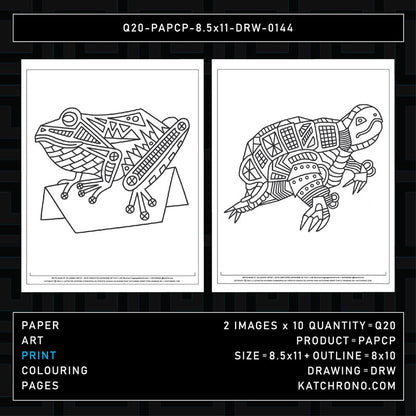 Q20-PAPCP-8.5x11-DRW-0144