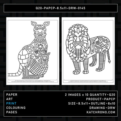 Q20-PAPCP-8.5x11-DRW-0145
