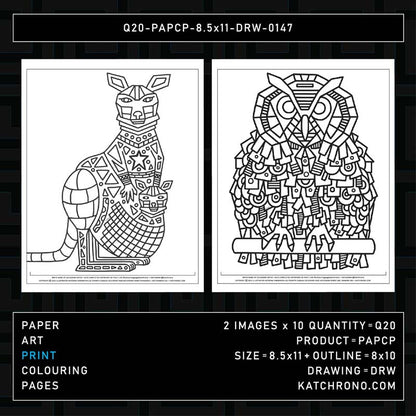 Q20-PAPCP-8.5x11-DRW-0147