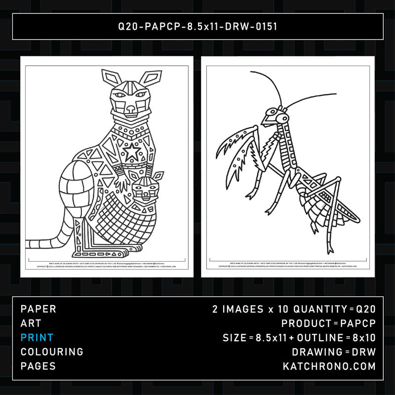 Q20-PAPCP-8.5x11-DRW-0151