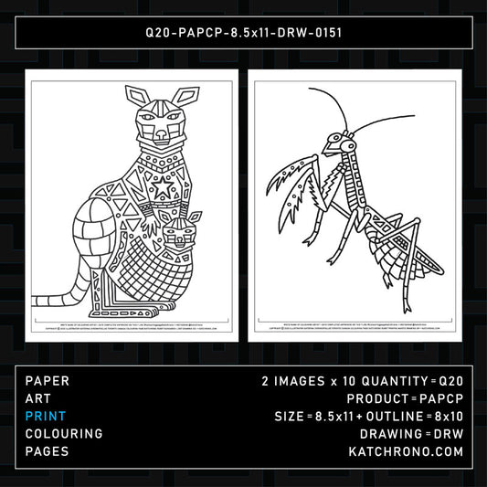 Q20-PAPCP-8.5x11-DRW-0151