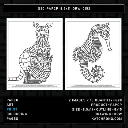 Q20-PAPCP-8.5x11-DRW-0152