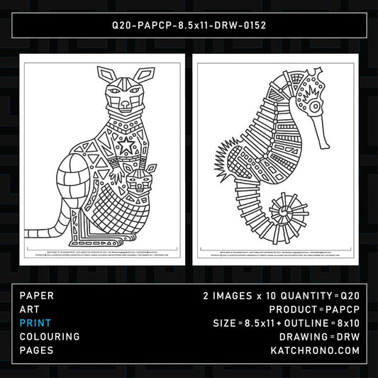 Q20-PAPCP-8.5x11-DRW-0152