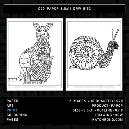 Q20-PAPCP-8.5x11-DRW-0153