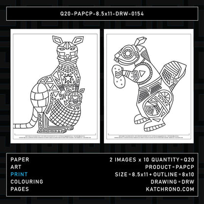 Q20-PAPCP-8.5x11-DRW-0154
