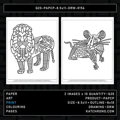 Q20-PAPCP-8.5x11-DRW-0156