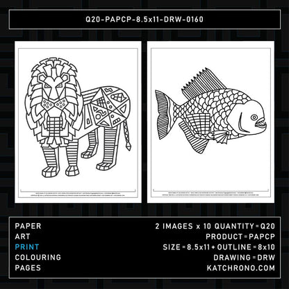 Q20-PAPCP-8.5x11-DRW-0160