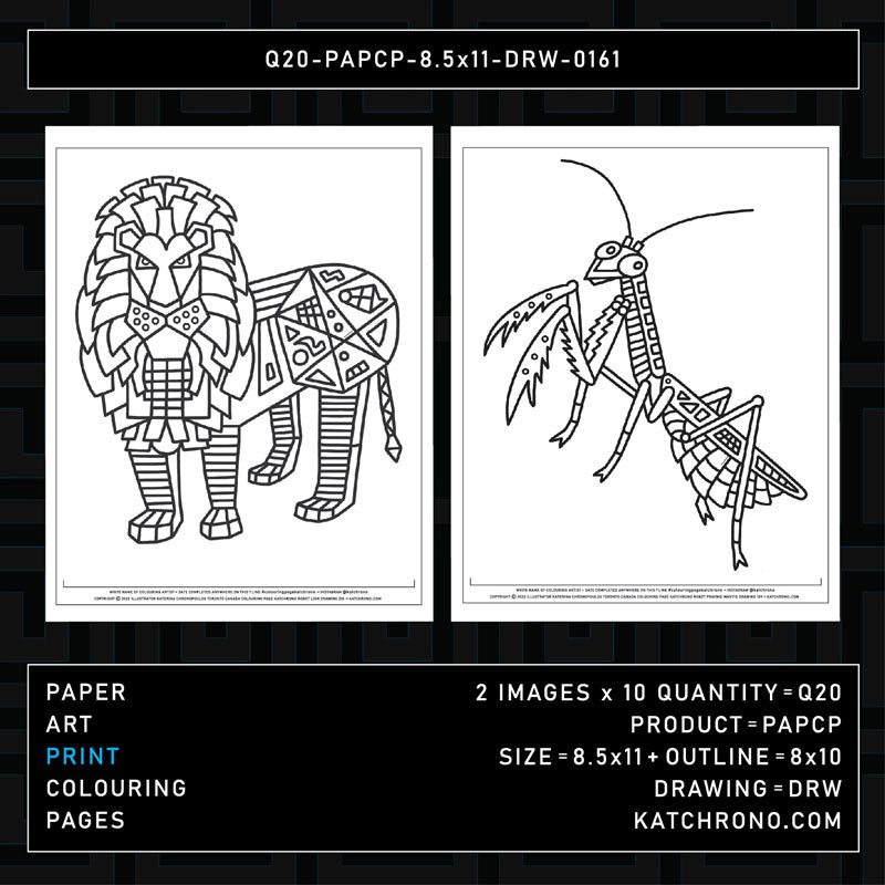 Q20-PAPCP-8.5x11-DRW-0161
