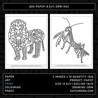 Q20-PAPCP-8.5x11-DRW-0161