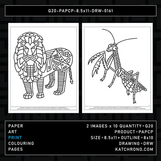 Q20-PAPCP-8.5x11-DRW-0161