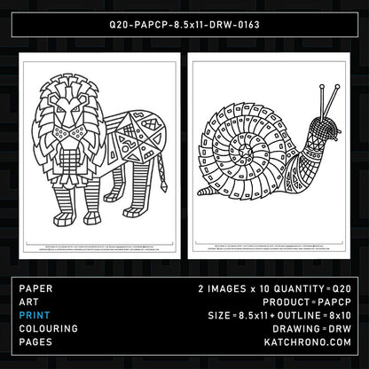 Q20-PAPCP-8.5x11-DRW-0163