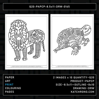 Q20-PAPCP-8.5x11-DRW-0165