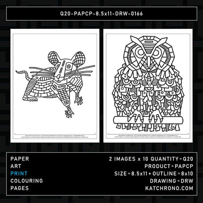 Q20-PAPCP-8.5x11-DRW-0166