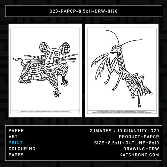 Q20-PAPCP-8.5x11-DRW-0170
