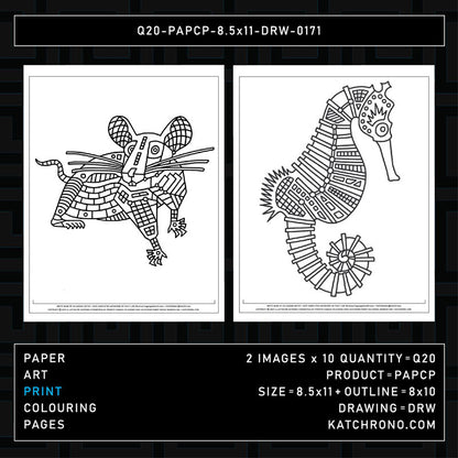 Q20-PAPCP-8.5x11-DRW-0171