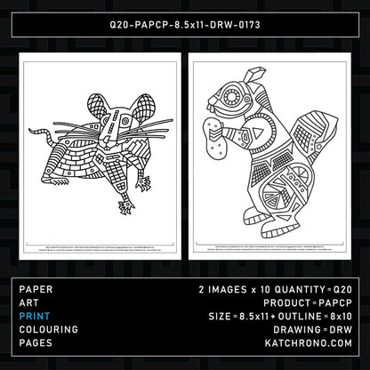 Q20-PAPCP-8.5x11-DRW-0173