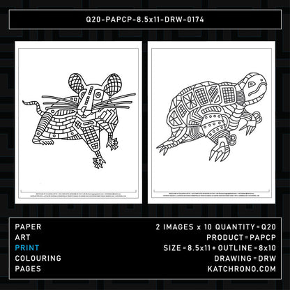 Q20-PAPCP-8.5x11-DRW-0174