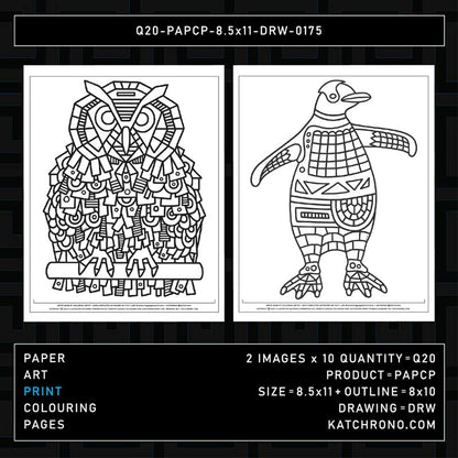 Q20-PAPCP-8.5x11-DRW-0175