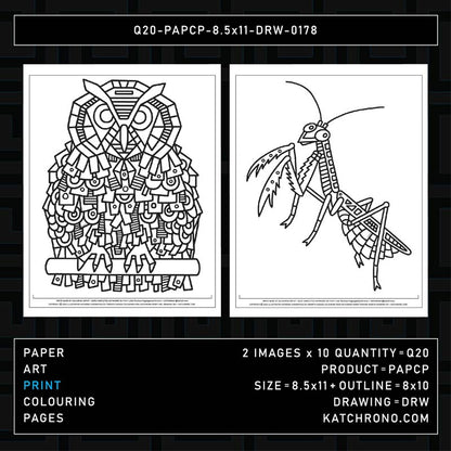Q20-PAPCP-8.5x11-DRW-0178