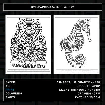 Q20-PAPCP-8.5x11-DRW-0179