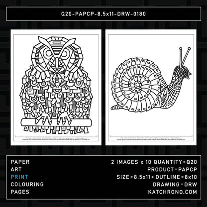 Q20-PAPCP-8.5x11-DRW-0180