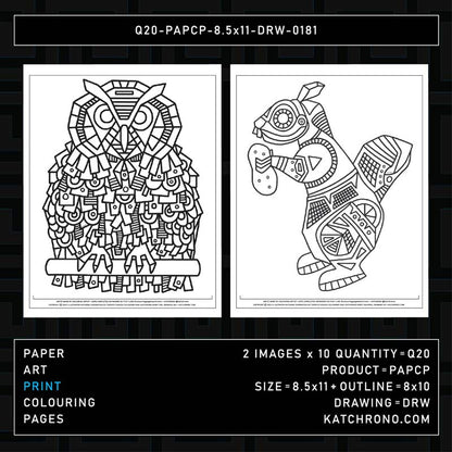 Q20-PAPCP-8.5x11-DRW-0181