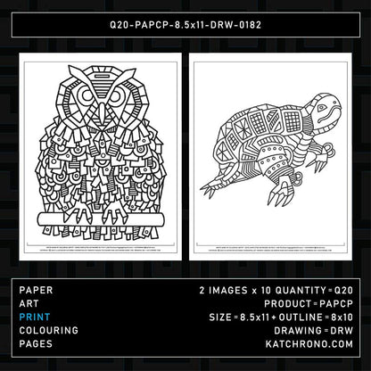 Q20-PAPCP-8.5x11-DRW-0182