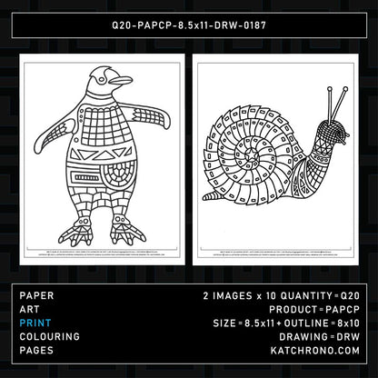 Q20-PAPCP-8.5x11-DRW-0187