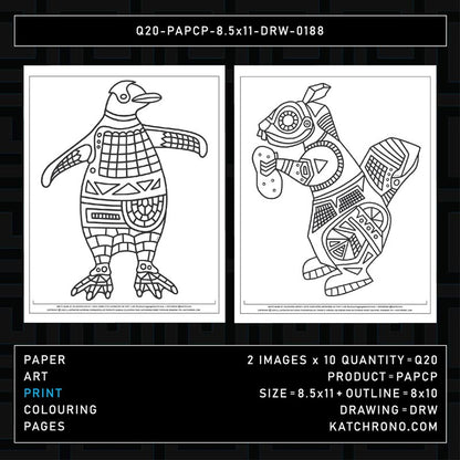 Q20-PAPCP-8.5x11-DRW-0188